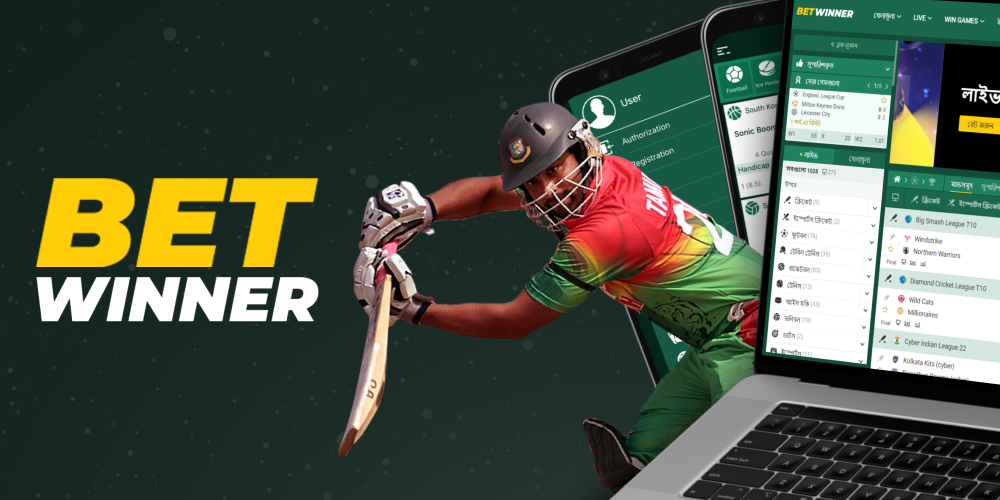 Cricket Betting Website